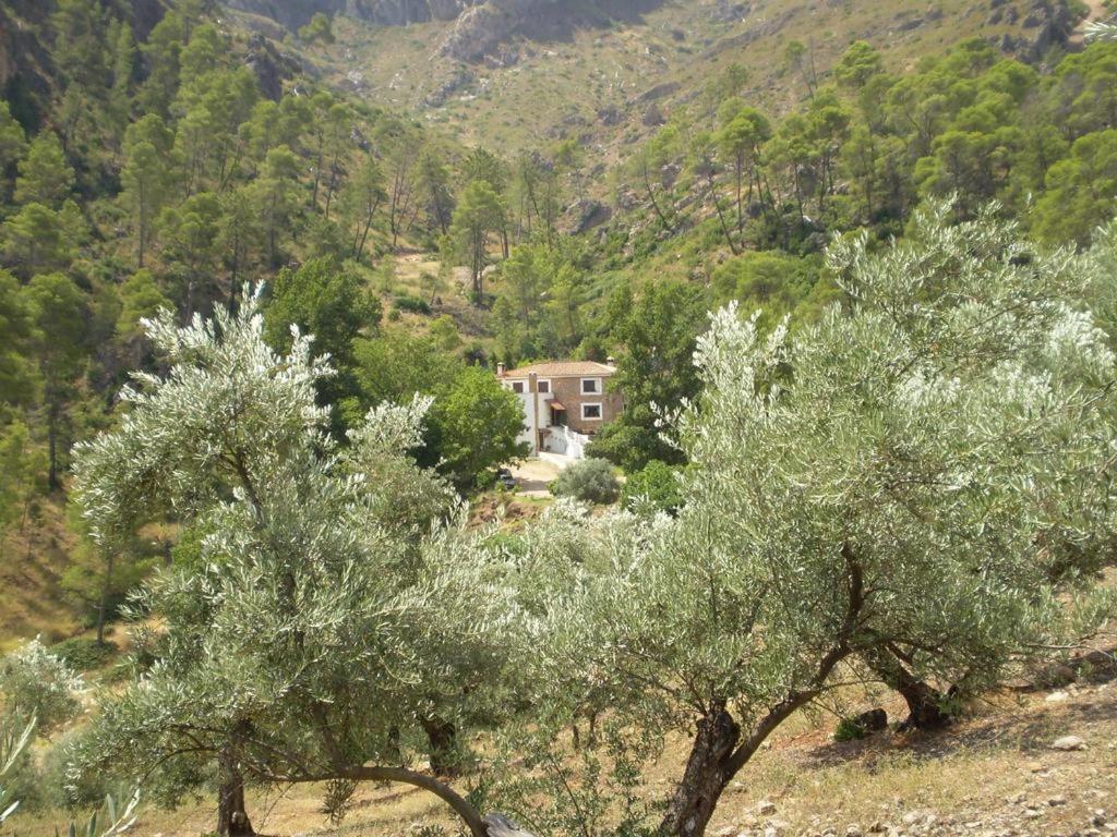 Hotel Rural 